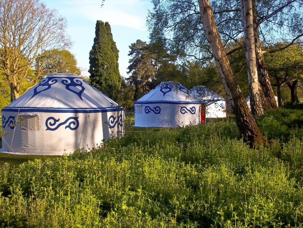 Plush tents glamping hotsell